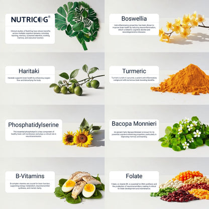 BRAIN HEALTH